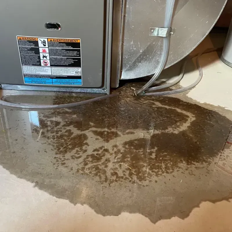 Appliance Leak Cleanup in Bells, TN